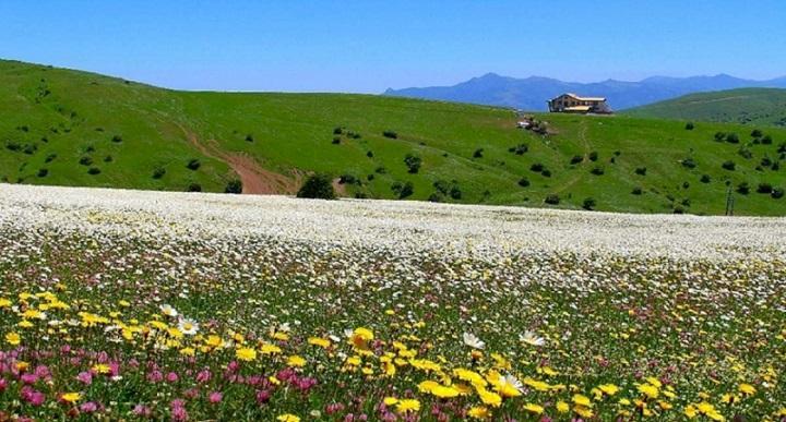 منطقه نمونه گردشگری فندقلو به بهره بردار بخش خصوصی واگذار می شود