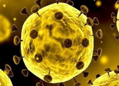 به شماره افتادن نفس های 42 بیمار کرونایی در قم