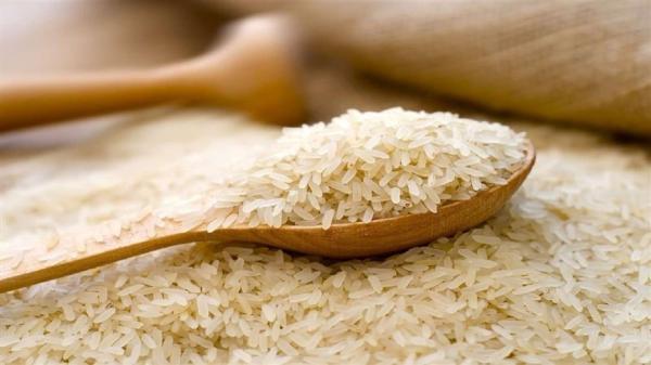 شروع عرضه برنج تنظیم بازار در فروشگاه ها از پنج شنبه