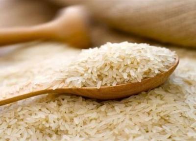 شروع عرضه برنج تنظیم بازار در فروشگاه ها از پنج شنبه