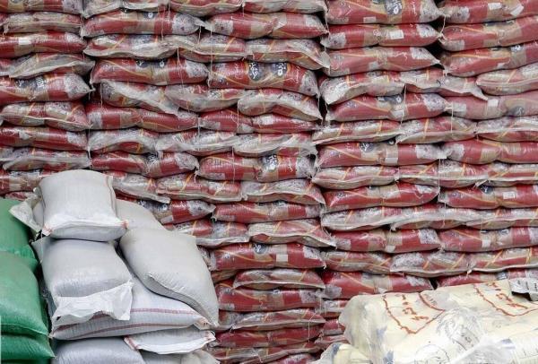 واردات یک میلیون تن برنج