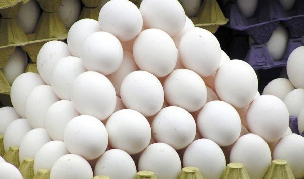 دست دلالان بازار مرغ و تخم مرغ از 2 شهر دیگر هم قطع شد، توزیع دیجیتال و رایگان در اصفهان و کرج