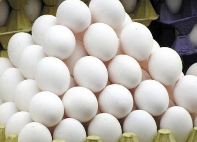 دست دلالان بازار مرغ و تخم مرغ از 2 شهر دیگر هم قطع شد، توزیع دیجیتال و رایگان در اصفهان و کرج