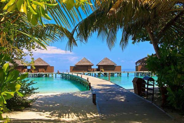 برترین زمان سفر به مالدیو