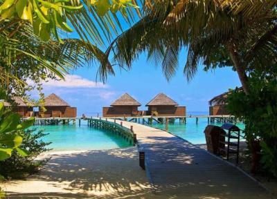 برترین زمان سفر به مالدیو